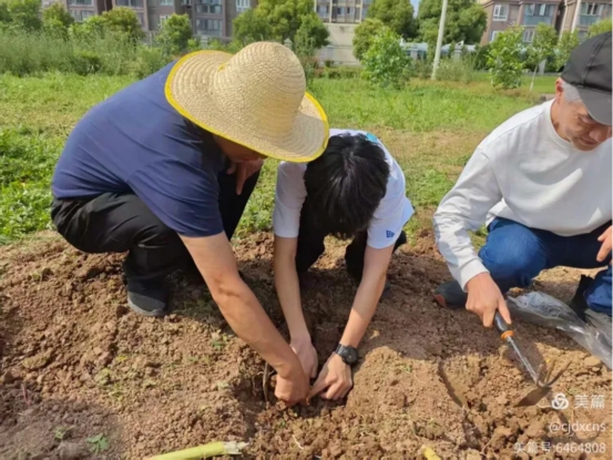 mk网页版登录入口